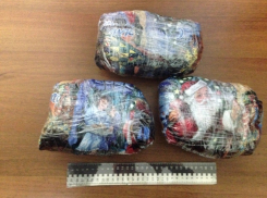 Под Волгоградом ликвидирован крупный канал поставки марихуаны