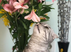 Жару до +30°С обещают синоптики волгоградцам