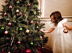 В Волгограде появится 64 елочных базара в середине декабря