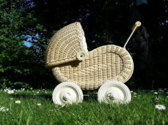 Водитель за рулем Ford сбил мать с коляской с 1,5-годовалым ребенком в Михайловке