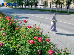 Жара надвигается на Волгоград: когда ждать отметку +30