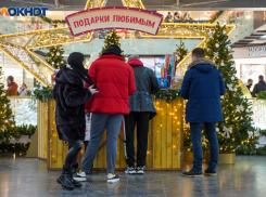 Названы самые востребованные профессии Волгоградской области