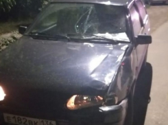 На виновника смертельного ДТП в Михайловке завели уголовное дело