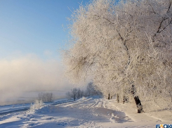 Спустя сутки нашли тело мужчины в лесополосе под Волгоградом