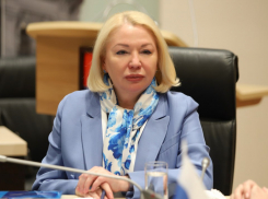 Поклонница тихой роскоши и тяжелого люкса из волгоградской облдумы дождалась особенного внимания