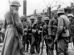 4 ноября 1942 года – активность немецких войск в районе Сталинграда значительно снизилась