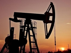 В Волгоградской области приступили к разработке Ливенского месторождения