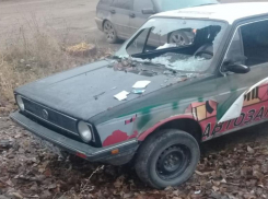 Двое волжан с особой жестокостью поиздевались над автомобилем супружеской пары