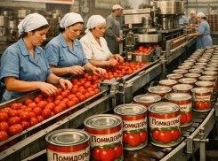 Легендарный вкус эпохи: кто убил завод, прославивший сталинградский томат