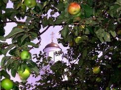 Волгоградцы встречают Яблочный спас