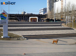 Смертность в Волгограде превысила рождаемость в 2,5 раза