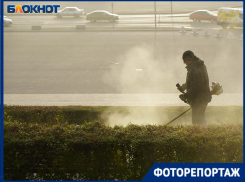 Густой туман стал предвестником резкого потепления в Волгограде