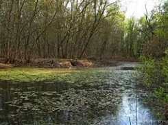 Волжанка испортила почву на 1,5млн рублей, построив газопровод на трех коттеджах