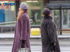 Снегопад и метель накроют Волгоградскую область 14 декабря