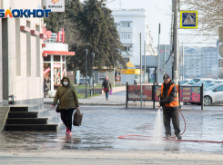 Жители Волгоградской области не верят, что ее вымирание можно остановить