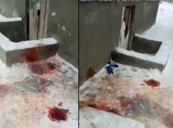 На видео попали следы кровавой бойни в новогоднюю ночь в Волжском
