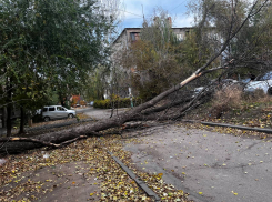 Нет электричества, с корнем вырваны деревья: в Волгограде хозяйничает ураган «Лидия»