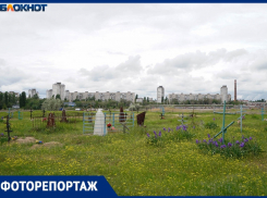 Здесь матерей с детьми хоронили вместе: показываем забытое кладбище Сталинграда
