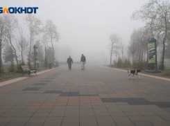 По мнению жителей Волгограда, глава города не заботится о нем