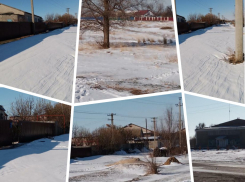 Зима пришла в Волгоградскую область: местные жители делятся фотографиями первого снега