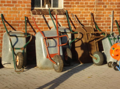 В Волгограде нашли застреленным сотрудника института искусств