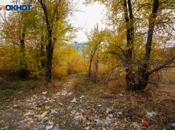 Позорная золотая осень в центре Волгограда: фоторепортаж