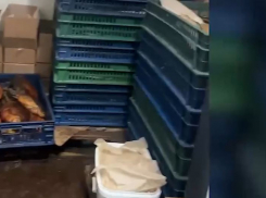 Подпольный цех с копченой и вяленой рыбой накрыли на севере Волгограда — изъято 12 тонн 