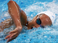 18-летняя девушка обокрала в бассейне Волгограда тренера по плаванию