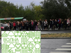 «Волна» не помогает экономить, уехать невозможно, еле втискиваемся: волгоградцы о транспортном коллапсе