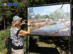 Акварпарк, два бассейна, выгул собак: волгоградцам показали вариант второй очереди поймы Царицы