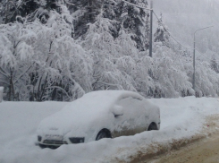 МЧС: в Волгограде и области ожидается сильный ветер до 25 м/с