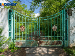 В Волгограде экстренно закрыли детские лагеря «Орлёнок» и «Сказка»