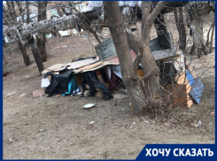 С собачьим самостроем борются жители волгоградского двора