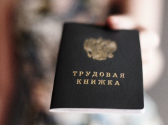 Сотрудник частной фирмы лишился работы из-за попытки скрыть близость с властями Волгограда
