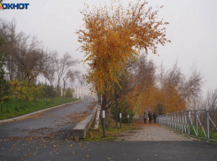Последнее экстра-потепление переживет Волгоград в декабре
