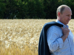 Каравай для Путина испекут под Волгоградом в День народного единства