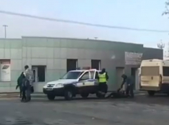 Видео со «сбитой» сотрудником ГИБДД волгоградкой прокомментировали в МВД 