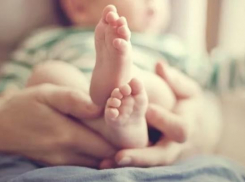 Девчачий бэби - бум накрыл перинатальный центр Волгограда