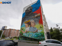 Дело в личной неприязни: неизвестный испортил патриотический мурал с военным в Волгограде