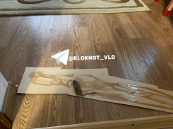 Переносчики смертельных болезней поселились в квартирах волгоградцев