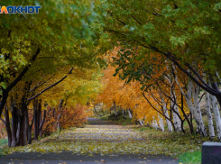 Непредсказуемый и волнительный ноябрь наступил для волгоградцев: астролог 