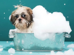 Сутки просидят без воды на выходных два района Волгограда 