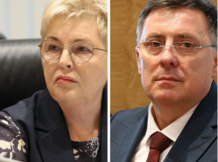 Рокировку провели в Волгоградской областной думе