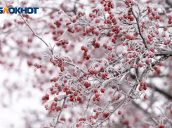 Волгоград ждет резкое потепление