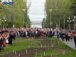 Крестный ход пройдет в Волгограде 4 ноября