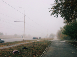 Туман и дожди с грозами: Волгоград ждут промозглые выходные