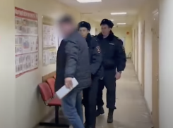 Под стражей оставили ждать суда замдиректора «Волгоградзеленхоз» Беляева