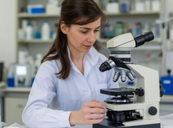 Кишечную палочку нашли в продукции волгоградских птицефабрик