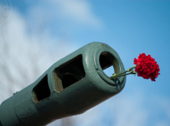 23 февраля волгоградки поздравили своих любимых завоевателей