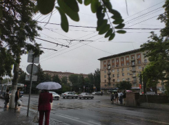 Проливной дождь и ураганный ветер обрушатся на Волгоградскую область